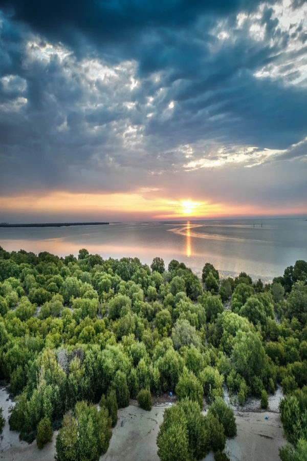 Lorem ipsum dolor sit amet, consectetur tdipiscing elit